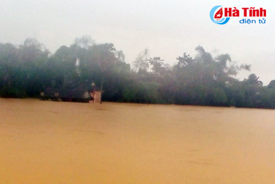 chum anh di trong ron lu huong khe