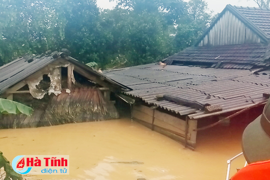 chum anh di trong ron lu huong khe