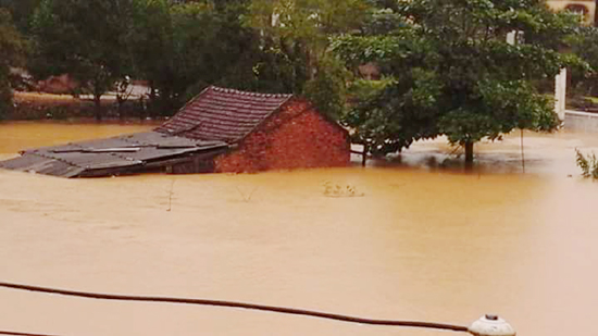 chum anh di trong ron lu huong khe