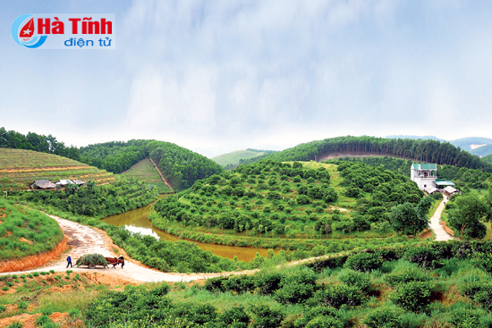 dam say nhung trang trai bac ty cua nong dan ha tinh