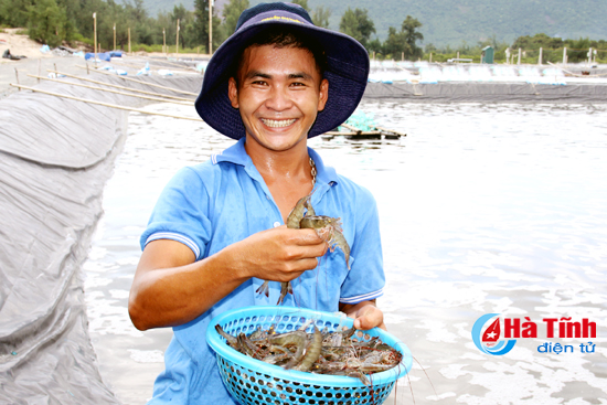 dam say nhung trang trai bac ty cua nong dan ha tinh