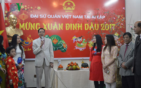 xuan sum vay cua cong dong nguoi viet tai ai cap hinh 1