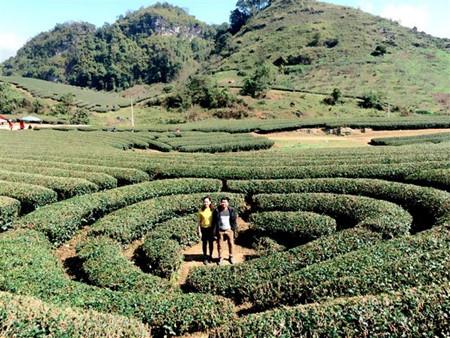 ທອງທຽວມກເຈາຍາມລະດບານໃໝ-ທດສະນຍະພາບສວຍງາມຢທກແຫງ hinh 0