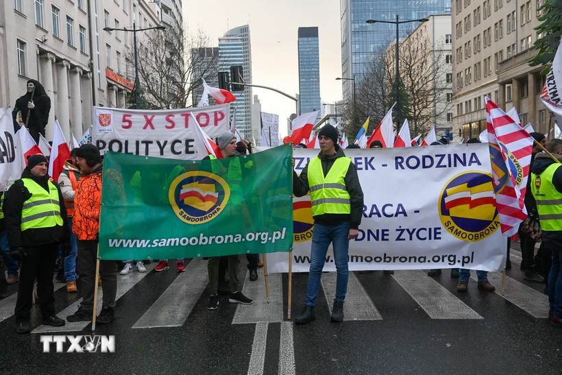 Европарламент отправил соглашение с «Меркосур» в суд для проверки его законности