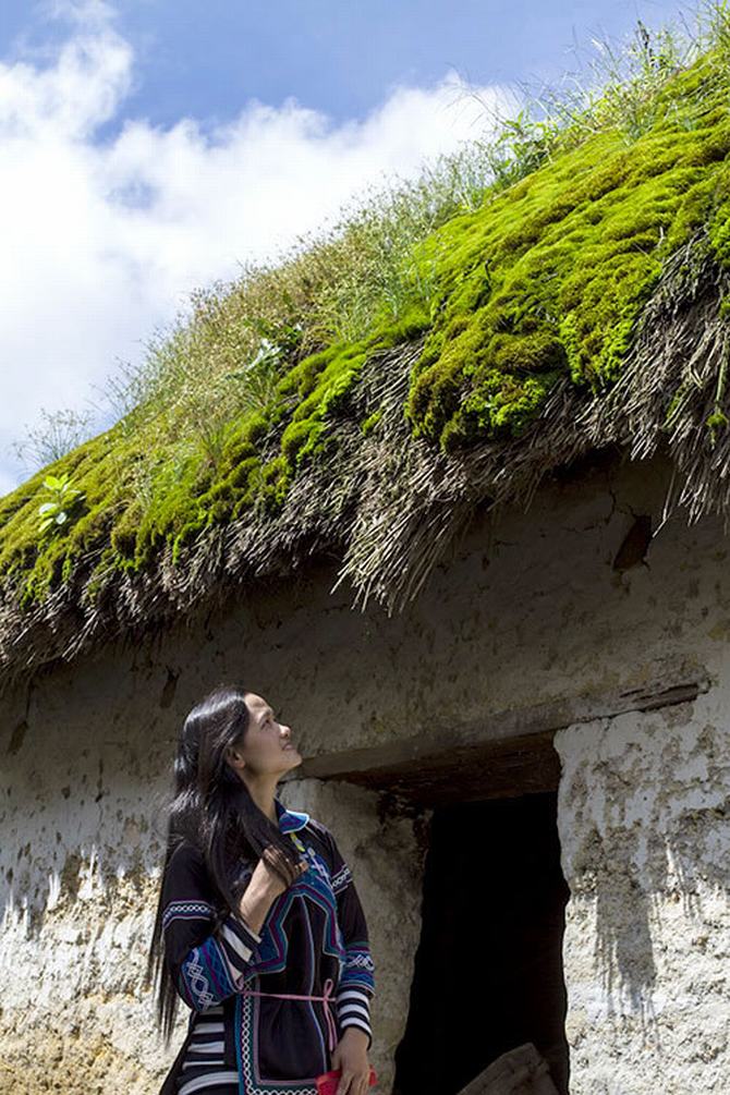 doc dao nhung ngoi nha "nam" o y ty hinh anh 7