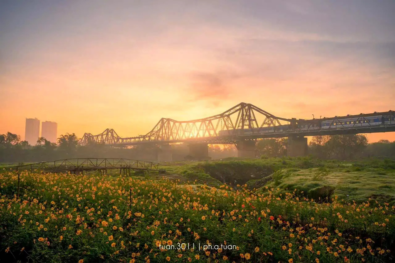 ทุ่งดอกไม้ที่สวยงามใต้สะพานลองเบียน