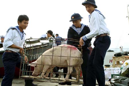 Preparan el Año Nuevo lunar 2012 en islas lejanas de la Patria