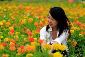 Hoa cỏ mùa xuân- Flores y plantas de la primavera