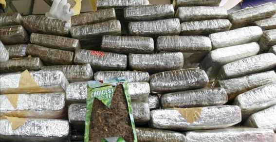 EEUU reconoce logros de Cuba en la lucha antidroga