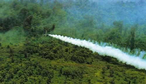 Vietnam: Sin tregua los efectos del agente naranja