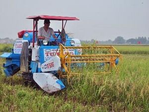 Destacan en Asia-Pacífico importancia de las estadísticas de agricultura