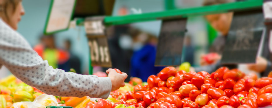 Vietnam celebrará con diversas actividades el Día Mundial del Medio Ambiente