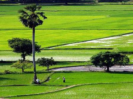 Diputados aportan opiniones para completar las enmiendas de la Ley de Tierra