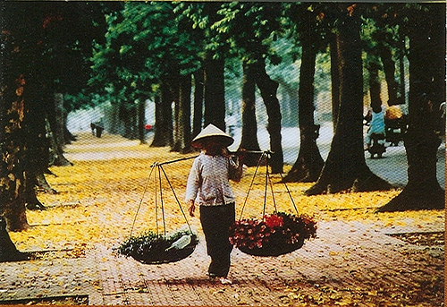 Hanoi y sus anuncios característicos