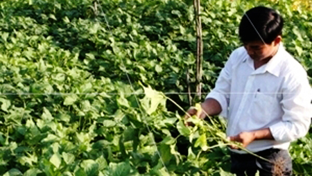 Destacan potencialidades biológicas de Vietnam para desarrollo económico