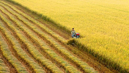 Promueven inversiones extranjeras directas en Delta de río Mekong