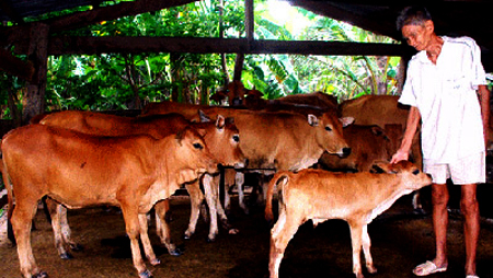 Innovación de Vietnam en el enfoque sobre la pobreza