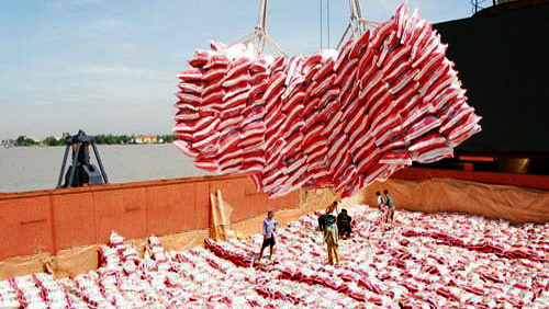 Vietnam se esfuerzan a promover exportación agrícola a China