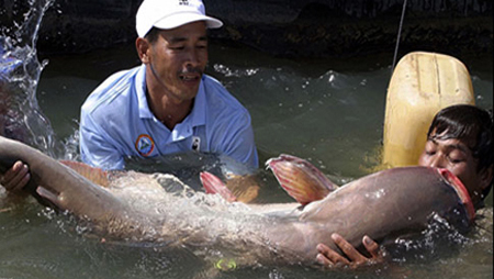 Países ribereños del Mekong se benefician de iniciativa de Estados Unidos