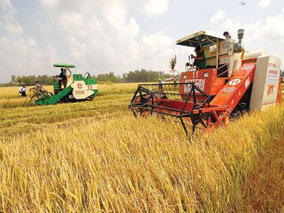 Renovación para impulsar el desarrollo de la agricultura