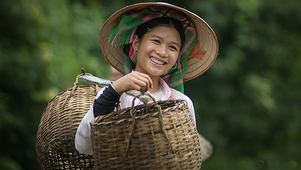 Hitos de la cultura vietnamita en 2013