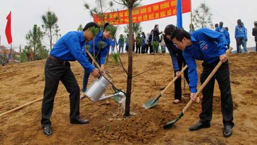 Promueven movimiento de reforestación en Da Nang