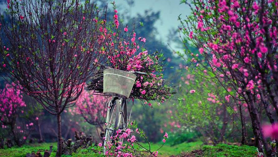 Cita de Correspondencia del 11 de enero de 2014