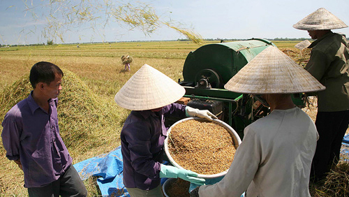 Iniciales logros en construcción de nuevo campo en Ciudad Ho Chi Minh