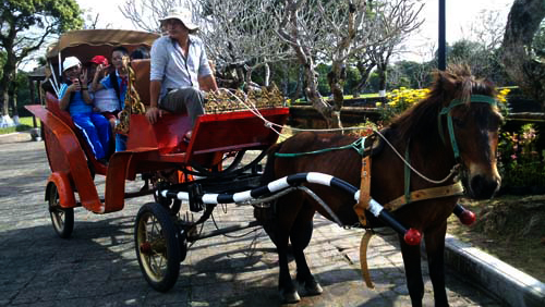 Localidades vietnamitas en saludo al Año Nuevo Lunar del Caballo 2014