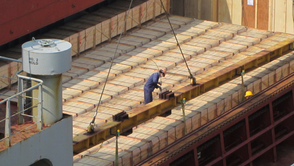 Actividades de producción en el Año Nuevo Lunar del Caballo 2014