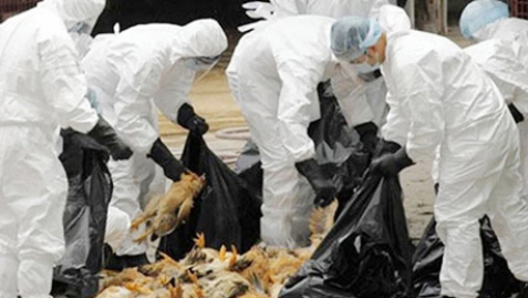 Promueven proyecto de salud comunitaria en Vietnam