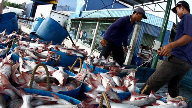 Prefieren australianos productos marítimos de Vietnam