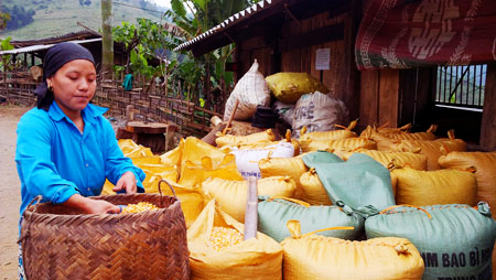 Impulsa provincia de Bac Kan reducción de la pobreza
