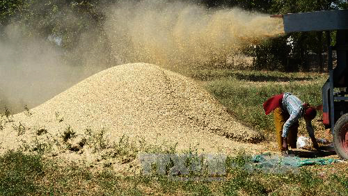 Venezuela garantiza alimentos de mayor calidad para su pueblo