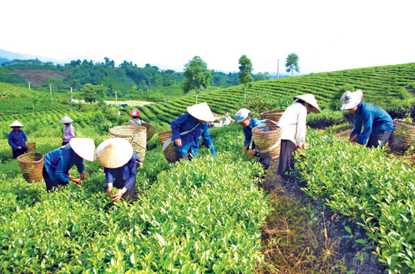 Vietnam aboga por reducción sostenible de pobreza