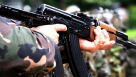 Comienza maniobra militar “Viking – 2014” en Georgia