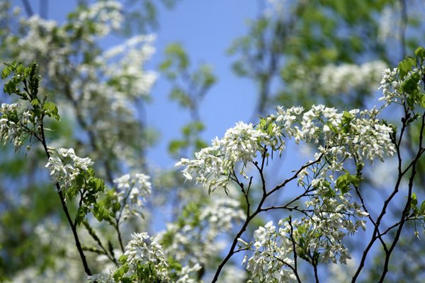 Bienvenido el mes de Abril!