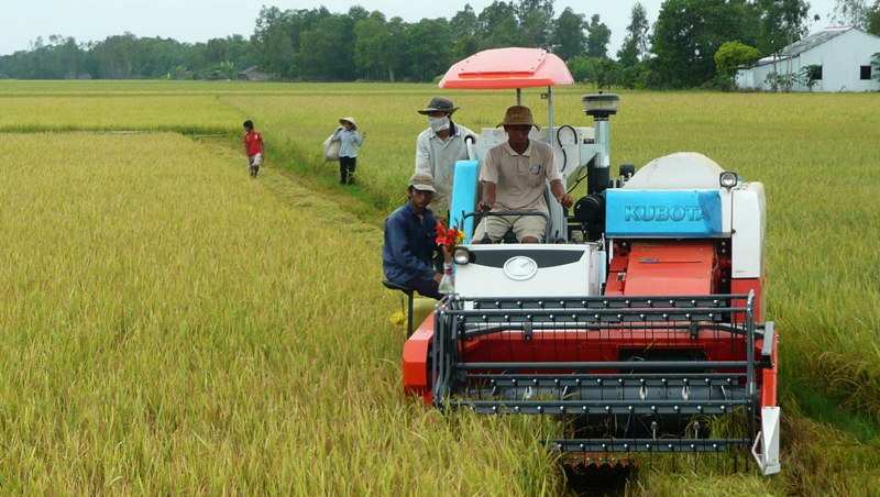 Dac Lac: ejemplo de movilización de fuerzas populares en construcción de nuevo campo