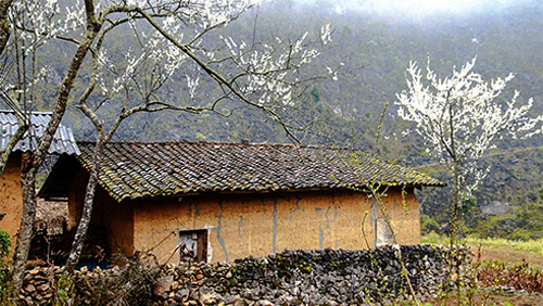Singulares casas de los Mong hoa
