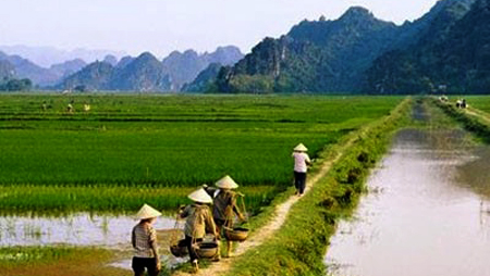 Movilización popular una medida eficaz en Thanh Hoa