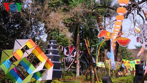 Belleza típica de las cometas vietnamitas