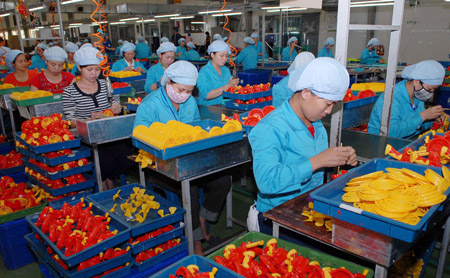 Esfuerzos vietnamitas en atracción de inversión extranjera directa