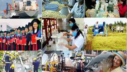 Aprovecha la economía vietnamita oportunidades para un crecimiento sostenible