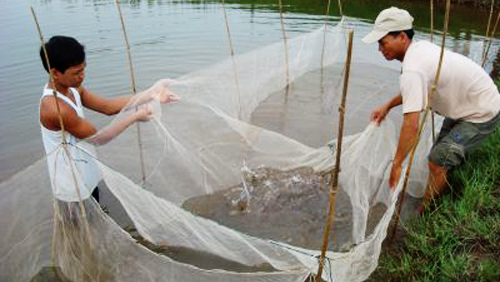 Thuy Ninh proyecta edificar modelos económicos rurales