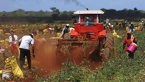 Vietnam y Cuba fortalecen cooperación económica y comercial