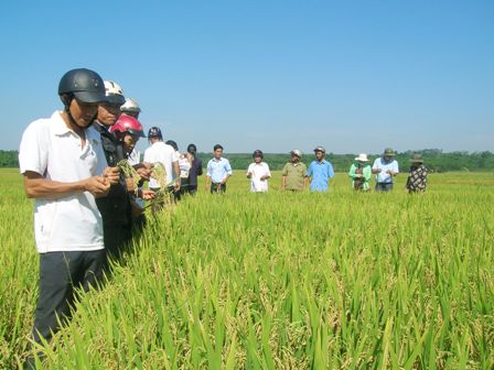 Transformaciones en el distrito de Cu M’ga