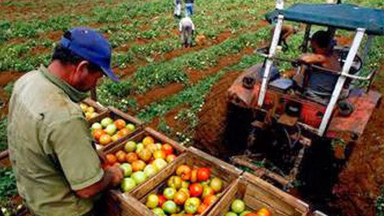 Parlamento cubano discute medidas para reducir la importación alimentaria