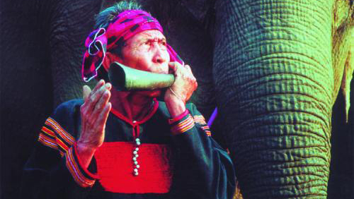 Doma de elefantes de los M´Nong