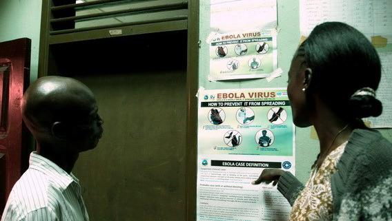 Confirma OMS 930 casos fatales por Ébola