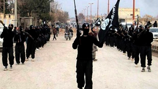 Congresistas de EEUU exhortan a medidas de enfrentamiento al Estado Islámico
